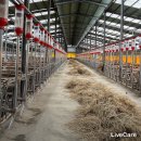 용무농장 이미지