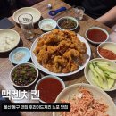 울산 동구 맛집 맥켄치킨 노포 감성 후라이드 치킨 맛집