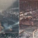 서강원농장 이미지