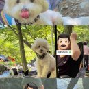 휴도기 그루밍 네이버블로그