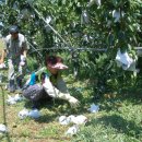 김석규 농장 이미지