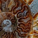 PINK GAME PC 이미지