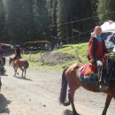 시내목장 이미지