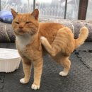 안나영하우스 이미지