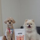 간식타이밍 | 강아지야채간식 고기 대신 줘봤는데 예상 밖이었던 견강하개 당근 후기