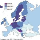 유럽 네덜란드 중심으로 본 평균키 도표 이미지