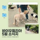 양일정비쎈터 | [2026] 바이오필리아 5월 소식지