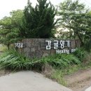 제주 올레길 13코스 이미지