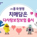 흥국생명 이미지