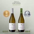 마리아농장 | [포르투갈] Quinta dos Encados 그린와인 와이너리 투어 후기