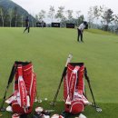 기브코리아 이미지