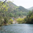 솔향공원 스카이바이크 시설 이미지