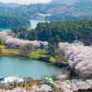 군산시 공영자전거 무인대여소 | 군산 은 파 호수 공원 도심 속 힐 링 명소