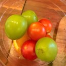 하이테크랜드 | 문래동 포케 맛집 샐러랜드 가볍게 먹으려다 든든해진 점심