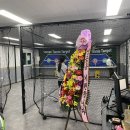 고릴라테니스