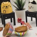 냥클래스 이미지