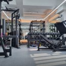 바디플래너 이미지