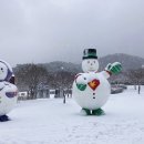 내장산조각공원 이미지