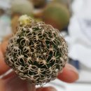 (주)올로 이미지