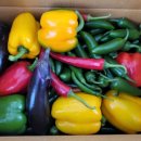 퍼펙트농장 이미지