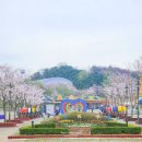 천안상록리조트 이미지