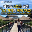 보니치니 골프랜드 | 제주 에코랜드 호텔 수영장 가족여행 숙소 추천 부대시설 후기