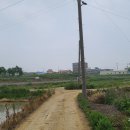 석천농로 이미지