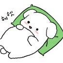 술이술술생고기육회신 이미지