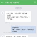 고양이호텔 묘랑묘랑 | 라떼의 호텔링 이야기 / 안양 고양이 호텔 묘랑묘랑