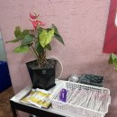 금문왕손짜장 이미지