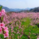 행정사김기원사무소 이미지