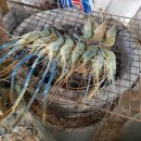 (주)썬라이즈 이미지