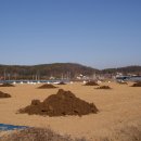 마지2리 이미지