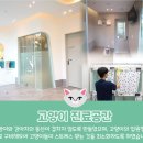 뉴엘동물의료센터 이미지