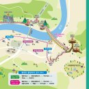 시탕뿌리 이미지