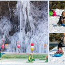 초리골협동조합 이미지