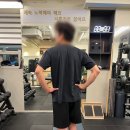 올바른몸 이미지