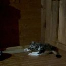 소양참숯찜질방 이미지