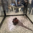 대학천사약국 | 데미안허스트 : 국립현대미술관 서울 전시회 추천 꿀팁 후기 작품 설명 해석