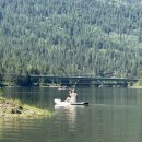 Stay the GAM 이미지