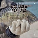 고성섬나들이 | 고성 자란도 낚시 여행 고성 섬 나들이 펜션