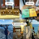 코리아빌 | 11-3. 야무진 부산 여행🌊