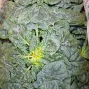 비금농장 이미지