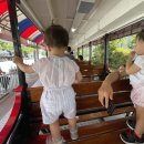 평화5(쌍둥이) 이미지