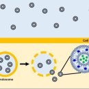 나노메드 이미지