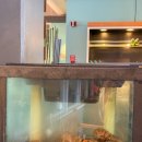 올세일즈 | 괌 바베큐 맛집 세일즈바베큐 투몬비치 선셋 BBQ 예약 팁