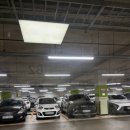 선물Ⅱ | [LH 전세임대] 신혼▪︎신생아 전세임대Ⅱ후기 (4) (혼인 신고 방법)