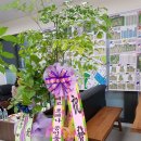 원탑공인중개사사무소 이미지