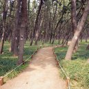 하늘바다길 이미지