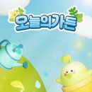 오늘의 선물 | 오늘의집 가드닝게임 비매품 선물 후기 🪴 생각보다 많이 받았어요!